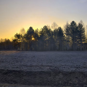 DSCF6217