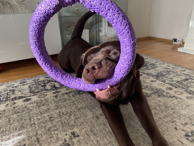 53668-E98-AC11-4-A53-AC7-F-93-AD8-B89842