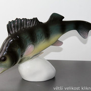 IMG-7882
