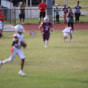IMG-2251