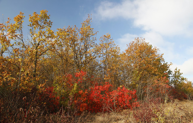 2a03793m.jpg