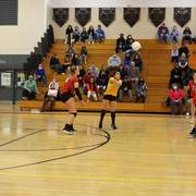 IMG-0082