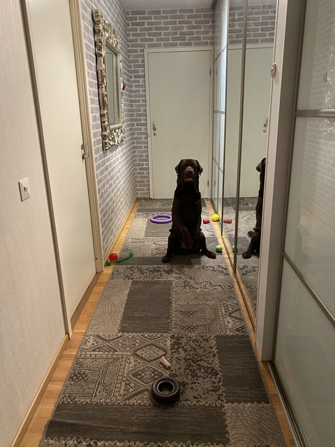 053-B0-BA2-610-B-47-F2-BE90-4-C8-E8-A5-E