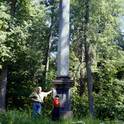 dima-savva-column