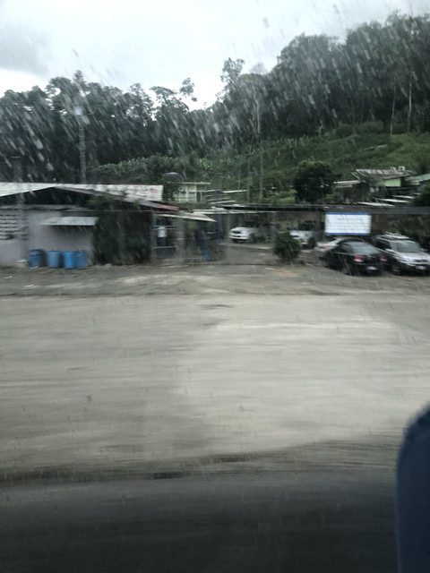 IMG-6726.jpg