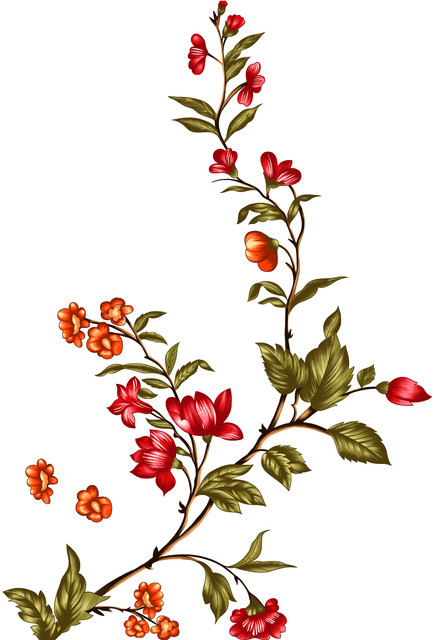 shutterstock 1509838895.jpg