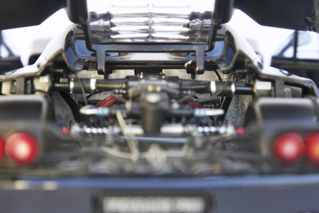 MG 6768.jpg