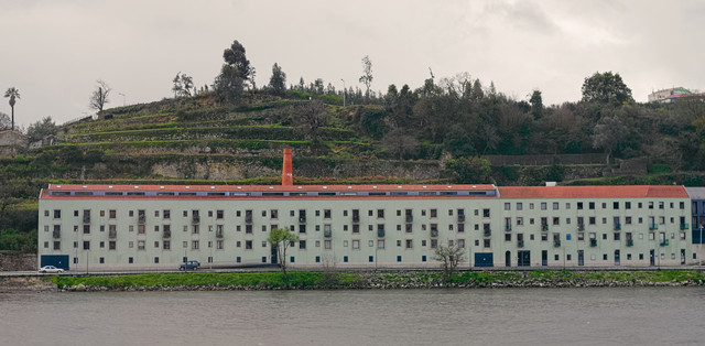 IMGP6658-1