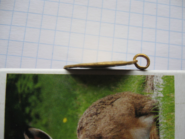 IMG-0041-1
