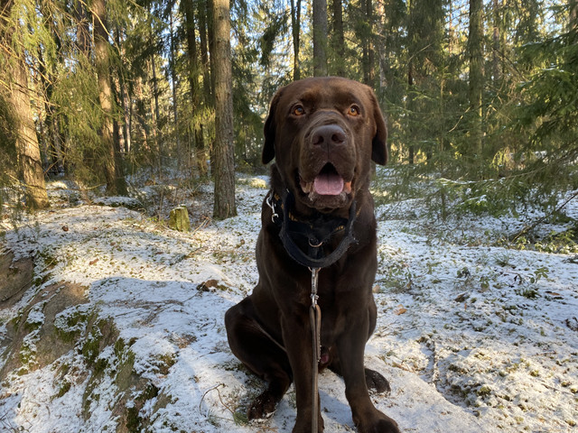 0584-F629-06-C1-4345-B586-6795-E11-B76-A