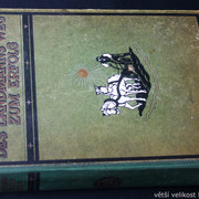 IMG-5384
