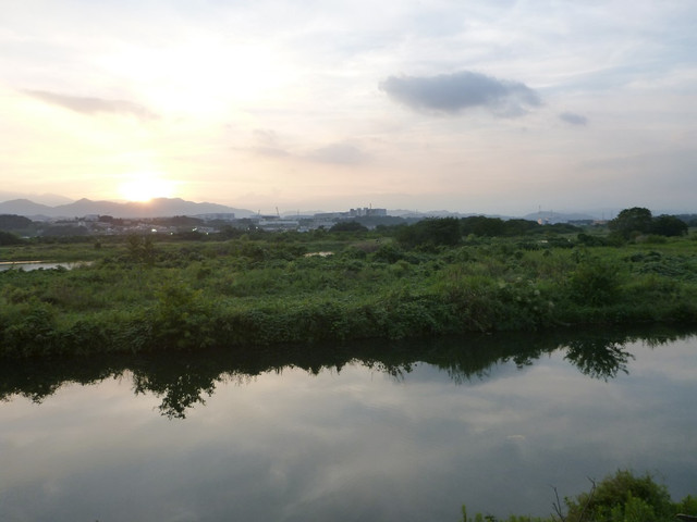 P1350159