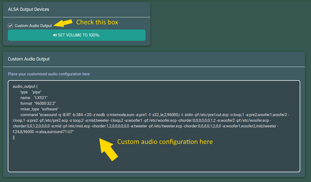 Custom Audio Config