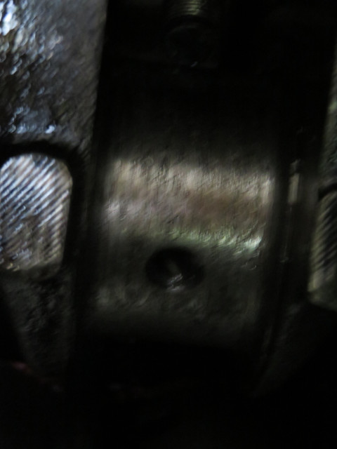 IMG 0234