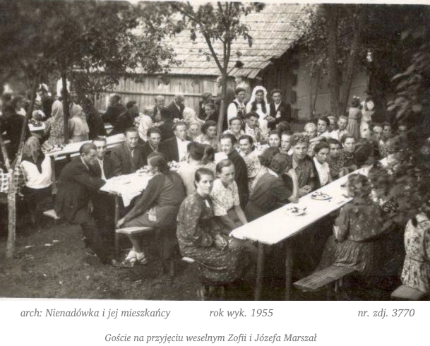 3770.jpg