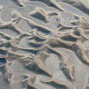 DSCF2836
