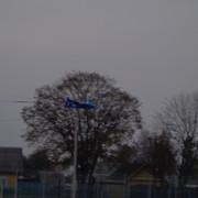 DSC07952