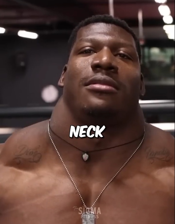 [IMAGE:https://i.ibb.co/z2n5cJM/NECK.jpg]