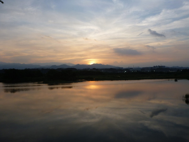 P1350184.jpg