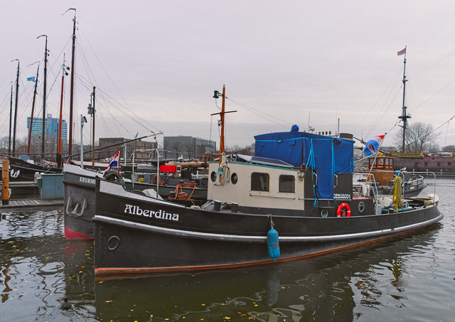 IMGP9335.jpg