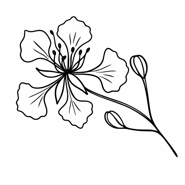 8.png