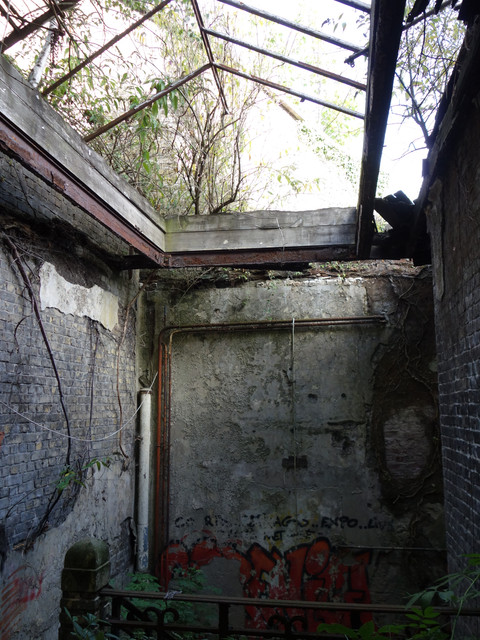 DSC05601