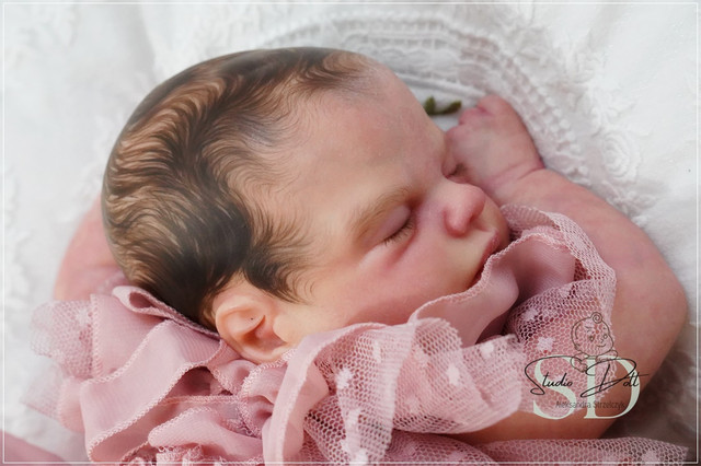 29