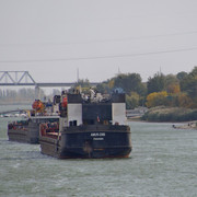 DSC08290