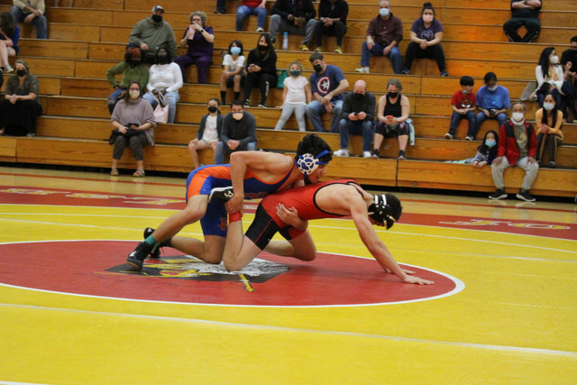 IMG-0261