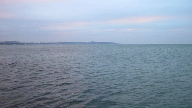 IMG-2010