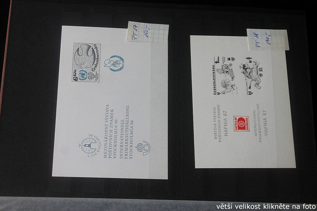 IMG-2363.jpg