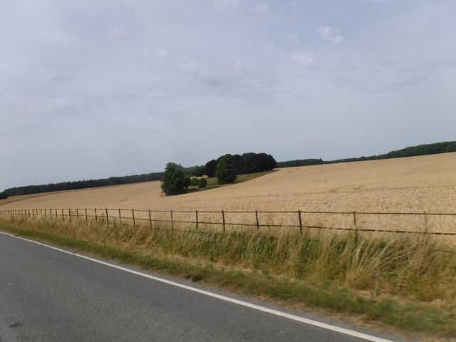 DSCF6183.jpg