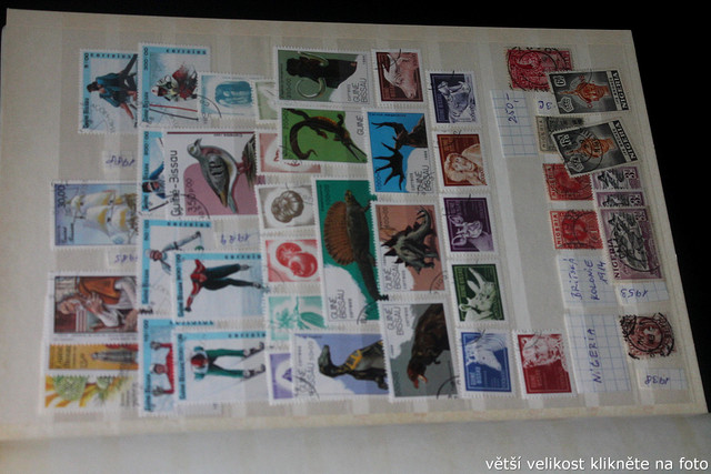 IMG-3732.jpg