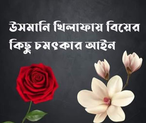 উসমানীয় খিলাফায় বিয়ের কিছু চমৎকার নিয়ম