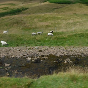 DSCF9093