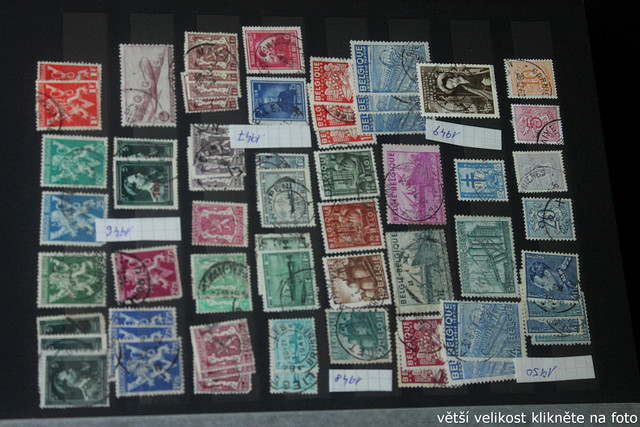 IMG-3439.jpg
