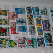 IMG-3774