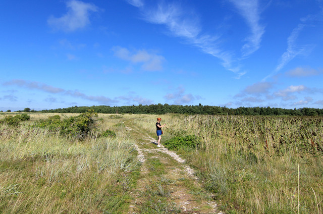 IMG-1519