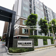 IMG 5969