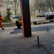 IMG-4459