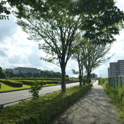 P1330017
