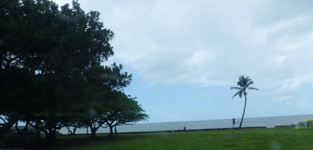 P1070308