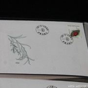 IMG-2633