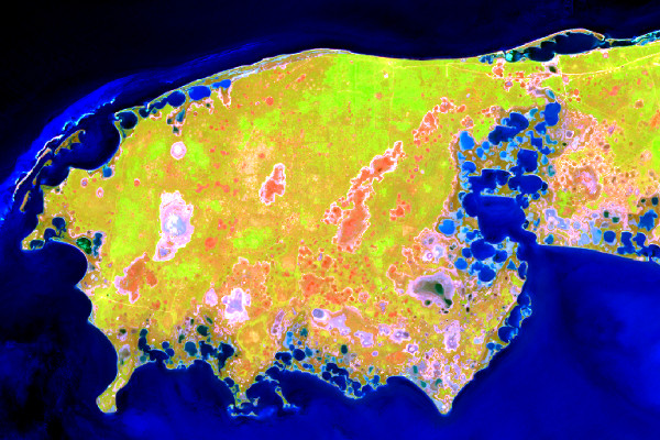 Вигляд Ягорлицького півострова на супутниковому знімку Sentinel-2 від 24 квітня 2020 р. (комбінація каналів 12-8-2) Вигляд Ягорлицького півострова на супутниковому знімку Sentinel-2 від 24 квітня 2020 р. (комбінація каналів 12-8-2)
