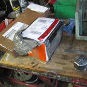 IMG-1256