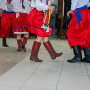 DSC8524