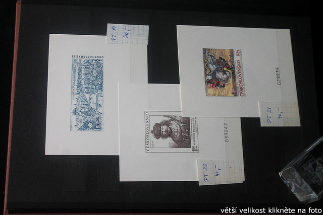 IMG-2365.jpg
