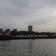 DSC07329