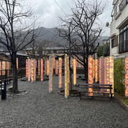 IMG-2810