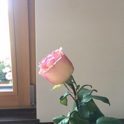 IMG-8936